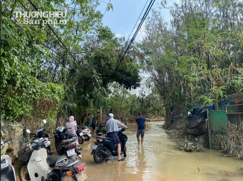 Vườn đào Nhật Tân tan tác sau lũ, người nông dân "đứt từng khúc ruột"