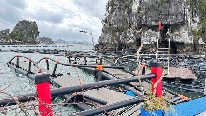 Lồng bè nuôi trồng thủy sản của doanh nghiệp và người dân bị hư hại nặng nề sau bão số 3.