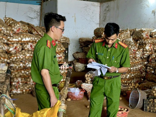 Lực lượng chức năng kiểm tra một vựa kinh doanh khoai tây tại TP Đà Lạt