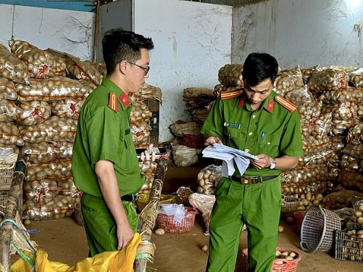 Đà Lạt: Trộn đất đỏ vào khoai tây Trung Quốc để xuất đi các tỉnh, thành