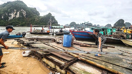 Toàn ngành thuỷ sản khôi phục sản xuất sau mưa bão