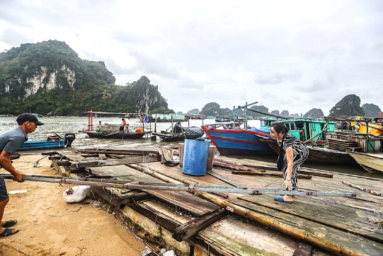 Gia đình anh Tuyên, chị Hoàn tại huyện Vân Đồn (Quảng Ninh) cố gắng nhặt nhạnh bè tàu còn sót lại sau cơn bão số 3 - Ảnh: NGUYỄN KHÁNH