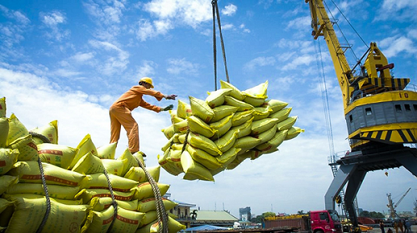 tính đến giữa tháng 9, Việt Nam đã xuất khẩu gần 6,5 triệu tấn gạo các loại, thu về 4,06 tỷ USD.