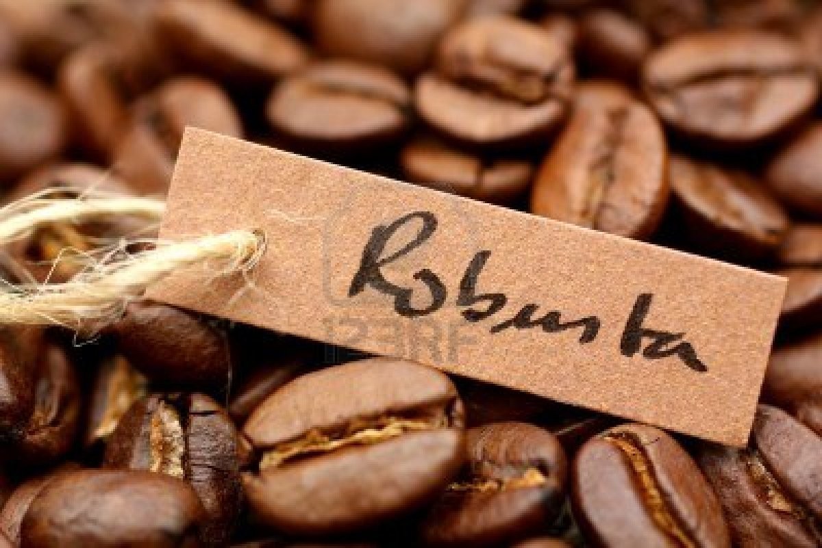 Robusta bật tăng mạnh, cà phê Việt hưởng lợi lớn