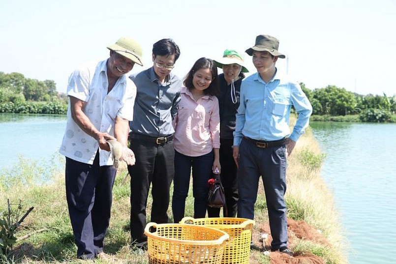 Huyện Ứng Hòa chú trọng phát triển vùng nguyên liệu tập trung