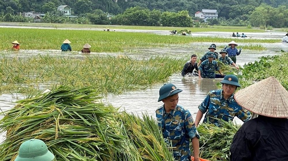 Thủ tướng yêu cầu tập trung triển khai các biện pháp nhanh chóng phục hồi sản xuất nông nghiệp sau bão số 3 và mưa lũ