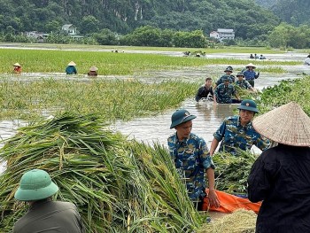 Thủ tướng yêu cầu tập trung triển khai các biện pháp nhanh chóng phục hồi sản xuất nông nghiệp sau bão số 3 và mưa lũ