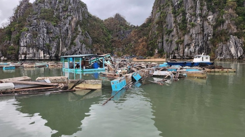 Tạo sinh kế cho người dân sau bão lũ