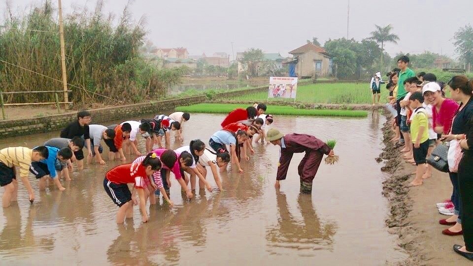 Mô hình du lịch nông nghiệp trải nghiệm tại huyện Thường Tín, TP Hà Nội