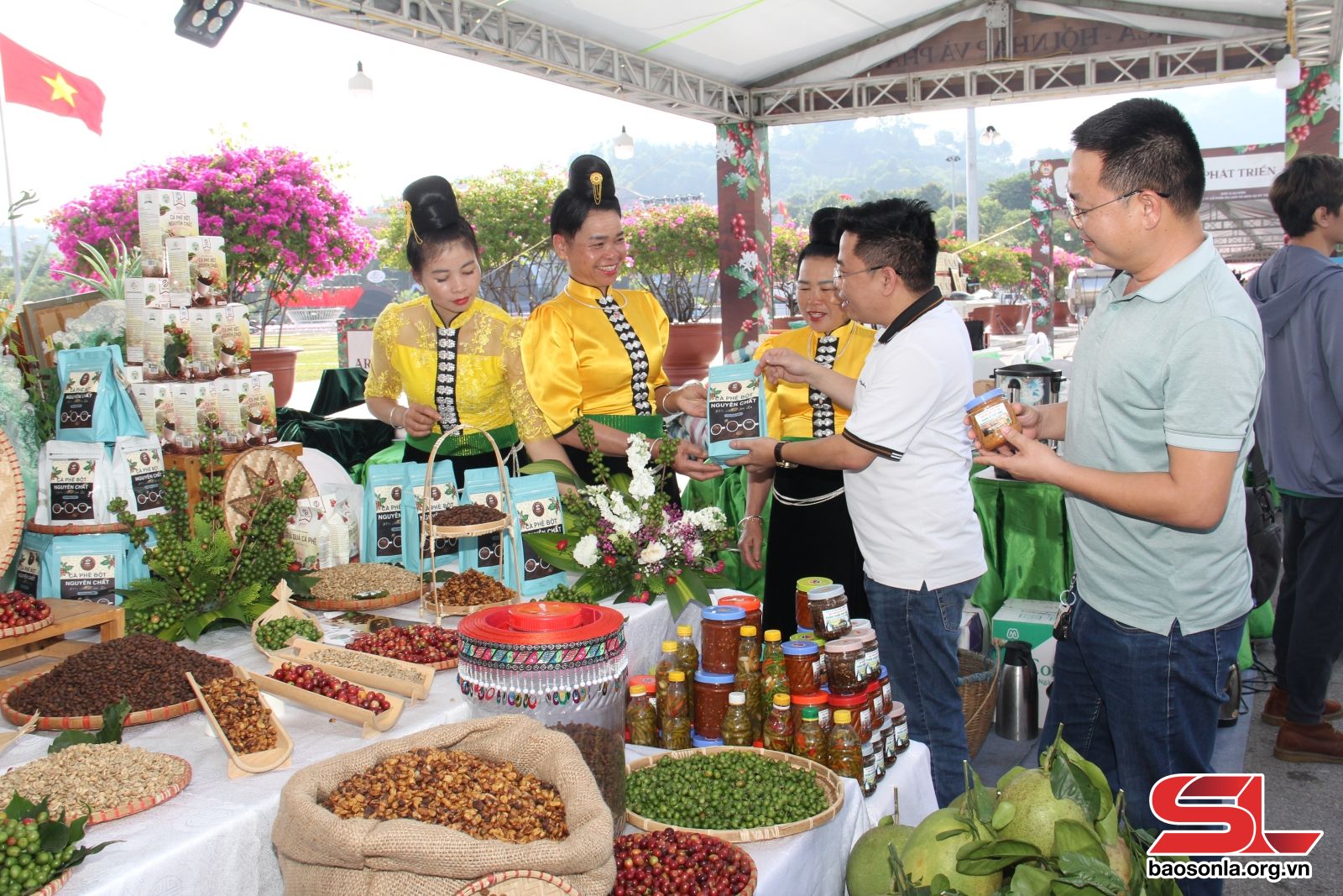 Hỗ trợ doanh nghiệp, HTX sản xuất, tiêu thụ nông sản