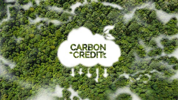 Nhiều khó khăn, vướng mắc trong triển khai chuyển nhượng carbon rừng