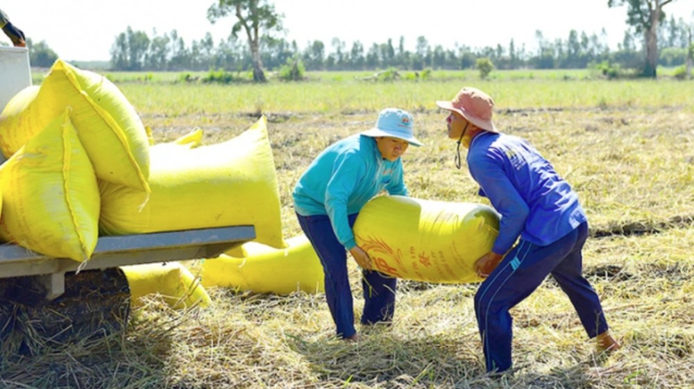 Danh sách thương nhân được cấp chứng nhận đủ điều kiện kinh doanh xuất khẩu gạo.