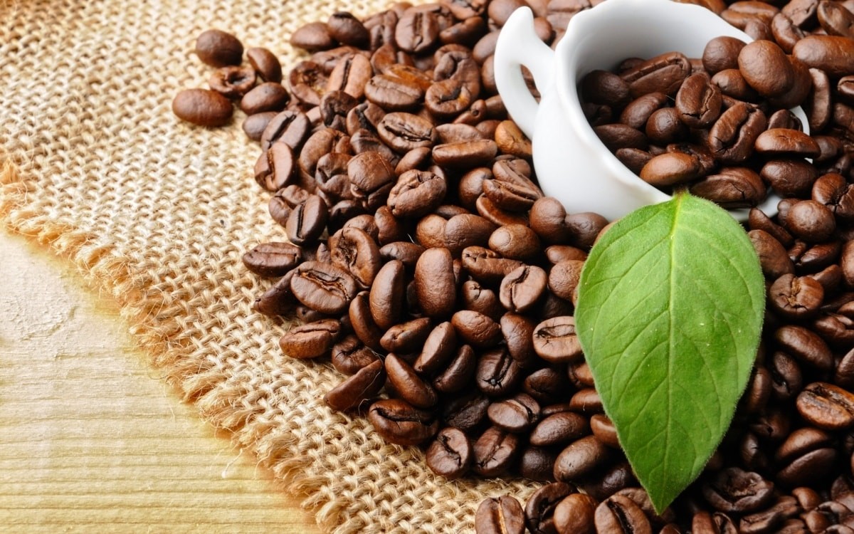 Vì sao giá cà phê biến động mạnh trong những ngày đầu tháng 10?