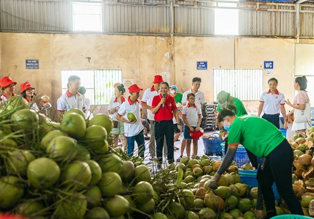 Những lô dừa tươi đầu tiên của Việt Nam có mặt tại Trung Quốc, trong nước giá mặt hàng này ra sao?