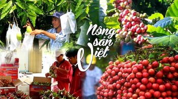 Xóa lời nguyền 