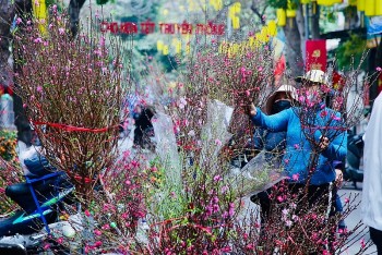Trình Thủ tướng phương án nghỉ Tết Ất Tỵ kéo dài 9 ngày