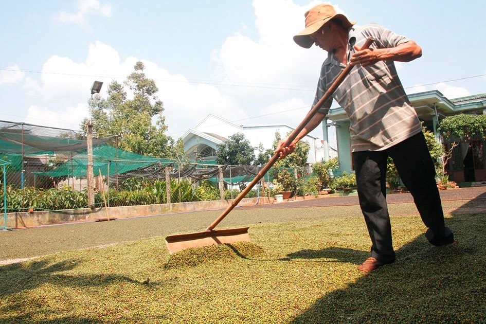 Giá hồ tiêu sẽ đối mặt với nhiều biến động trong ngắn hạn