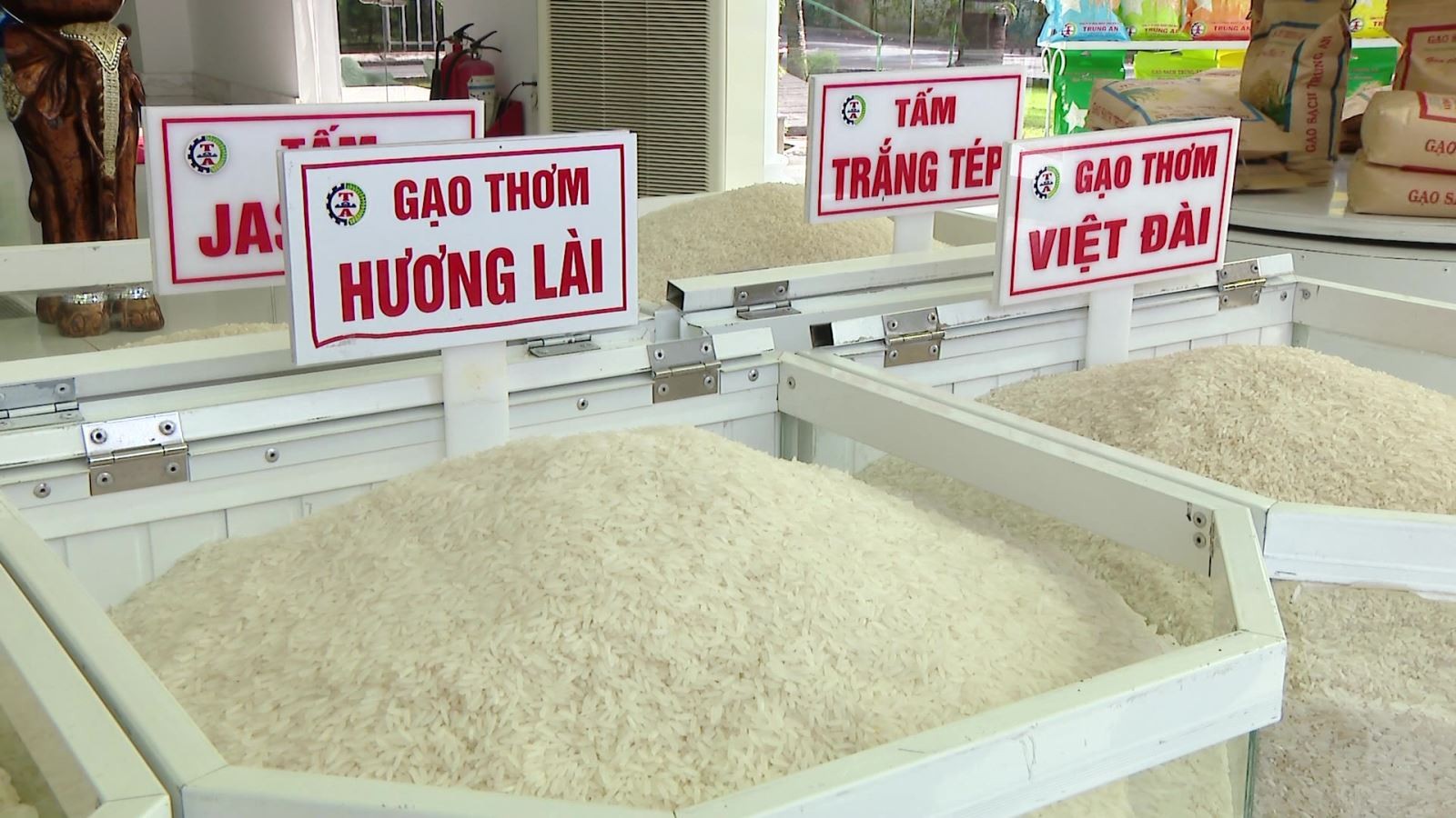 Cơ hội nào cho xuất khẩu gạo những tháng cuối năm?