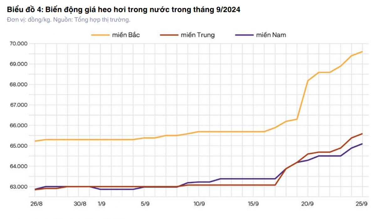 Biến động giá heo hơi tại các khu vực Việt Nam trong tháng 9/2024 - Nguồn: Vietnambiz tổng hợp từ thị trường.