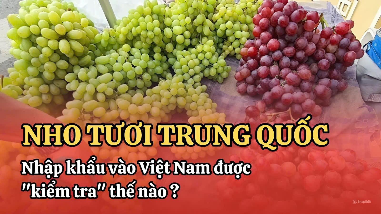 Nho tươi Trung Quốc nhập khẩu vào Việt Nam được "kiểm tra" thế nào?