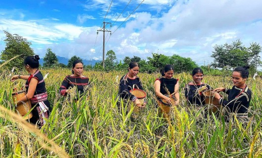 Gia Lai: La Mơ Nông đẩy mạnh đa dạng truyền thông nâng cao nhận thức cán bộ, người dân về xây dựng nông thôn mới.