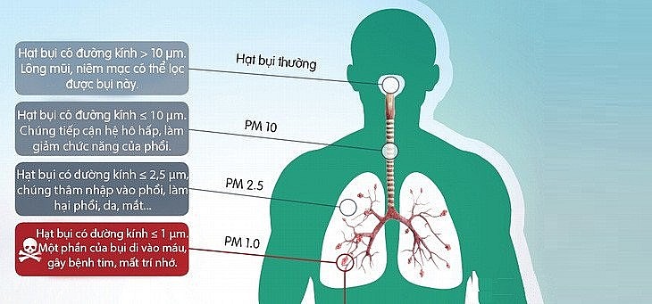 Bụi mịn nguy hiểm đến mức nào?