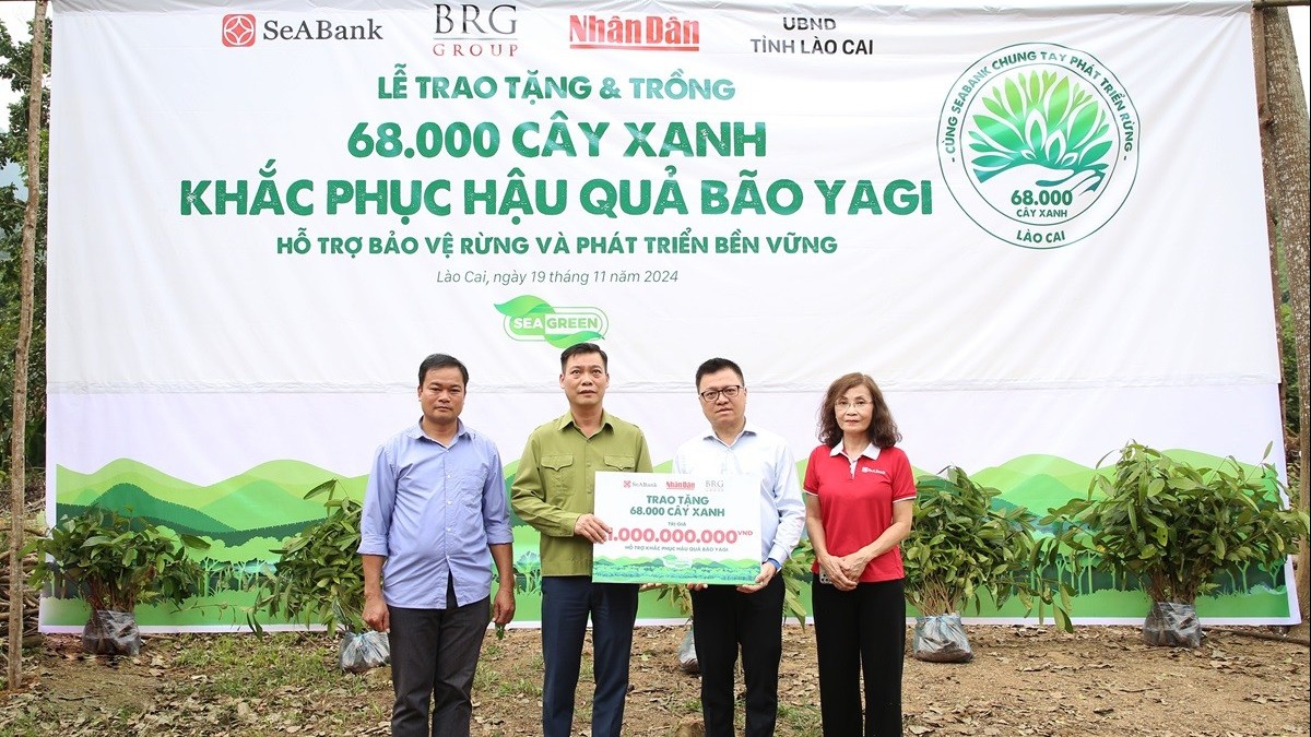 SeABank và Tập đoàn BRG chung tay trồng 68.000 cây phủ xanh gần 20ha rừng tại Lào Cai