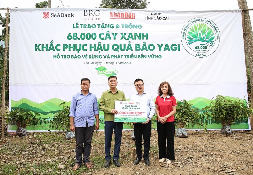 SeABank và Tập đoàn BRG chung tay trồng 68.000 cây phủ xanh gần 20ha rừng tại Lào Cai