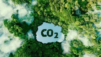 Thị trường Carbon: Việt Nam có đang quá thận trọng?