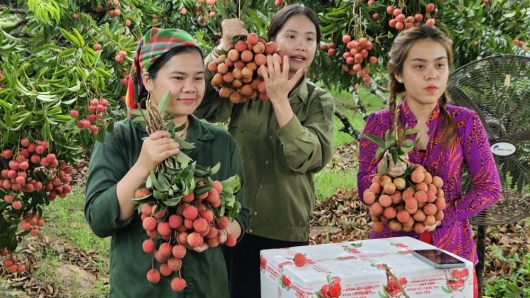 Để hàng Việt “cất cánh” trên môi trường số