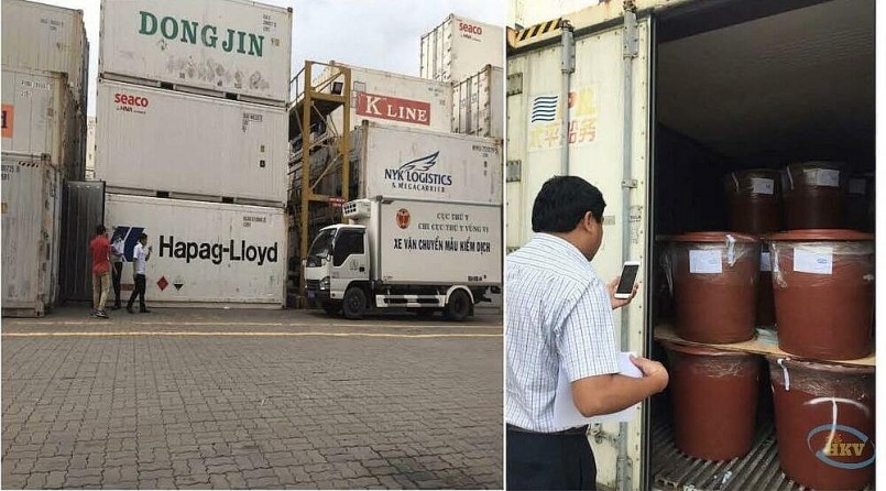 Các container hải sâm từ Solomon đầu tiên về Việt Nam và được cán bộ Chi Cục Thú Ý vùng VI đến lấy mẫu để kiểm dịch.