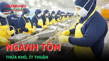 Ngành tôm thừa khó, ít thuận?