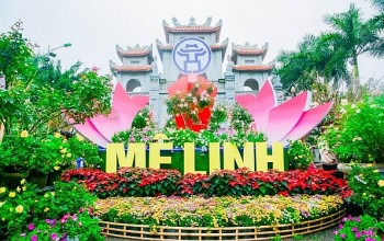 Festival hoa Mê Linh năm 2024 có gì hấp dẫn?