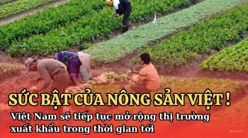 Việt Nam sẽ tiếp tục mở rộng thị trường xuất khẩu trong thời gian tới