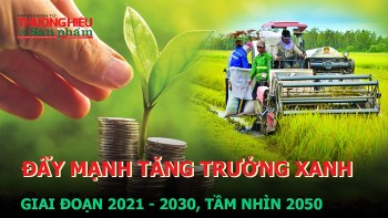 Đẩy mạnh tăng trưởng xanh giai đoạn 2021 -2030, tầm nhìn 2050