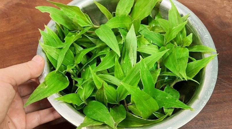 Loài cây dại người Việt đều nhổ bỏ giúp khoẻ gan, tốt cho khớp