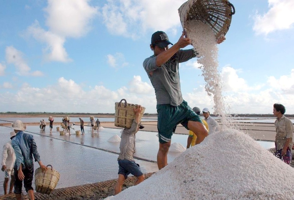 Nâng tầm giá trị hạt muối Việt Nam