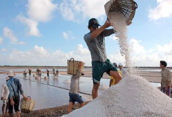 Nâng tầm giá trị hạt muối Việt Nam