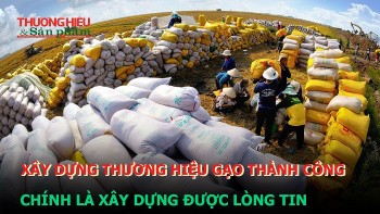 Xây dựng thương hiệu gạo thành công chính là xây dựng được lòng tin?