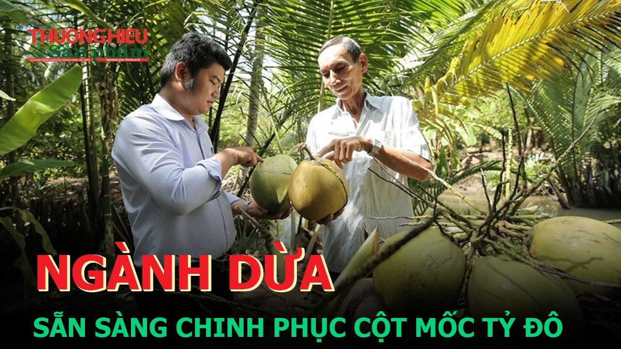 Ngành dừa sẵn sàng chinh phục cột mốc tỷ đô?