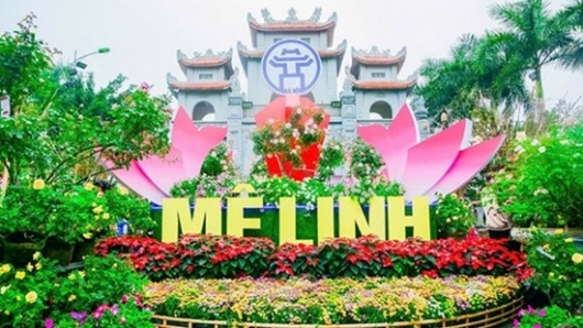 Sắp diễn ra lễ hội hoa lớn nhất miền Bắc tại Mê Linh, Hà Nội