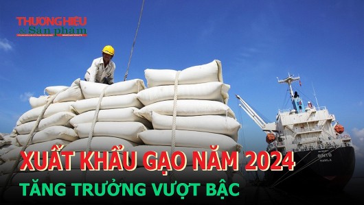 Xuất khẩu gạo năm 2024 tăng trưởng vượt bậc?