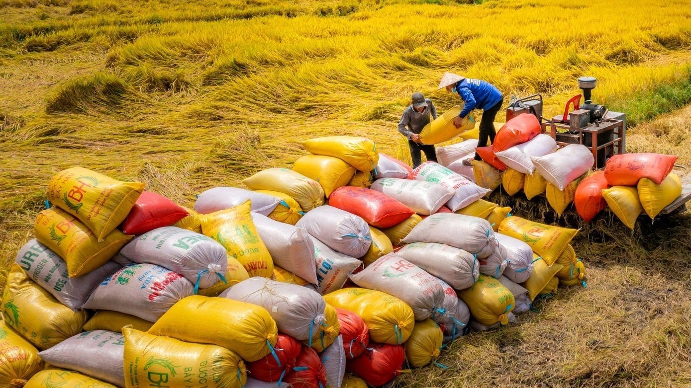 Bổ sung thêm một số quy định về kinh doanh xuất khẩu gạo