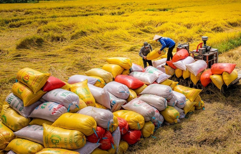 Bổ sung thêm một số quy định về kinh doanh xuất khẩu gạo