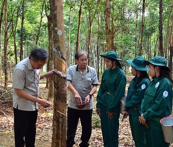 Đưa kim ngạch thương mại Việt - Lào năm 2025 tăng 10 - 15%