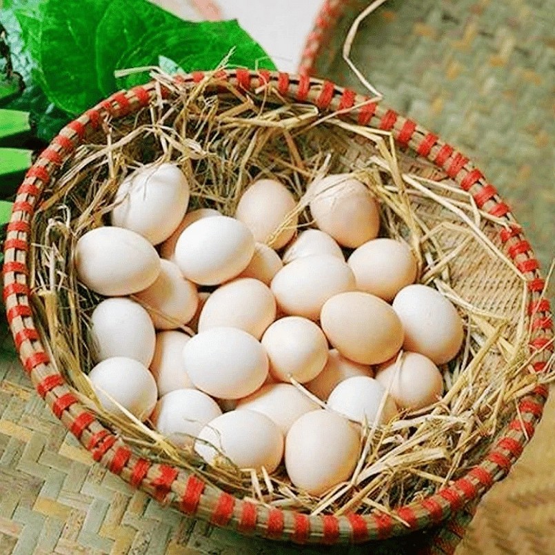 Bí quyết chọn trứng gà tươi ngon