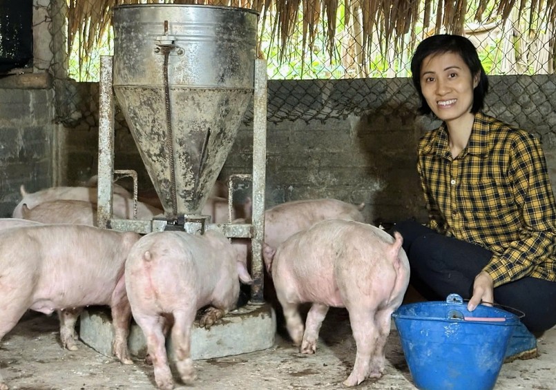 Chương trình Ước Mơ Xanh nhận 2 giải thưởng quốc tế