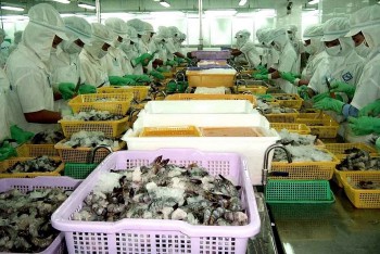 Tạo động lực để xuất khẩu tôm đạt mục tiêu tăng trưởng trong năm 2025