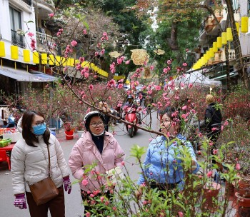 Chợ hoa Hàng Lược, nét đẹp của phiên chợ lâu đời nhất Hà Nội