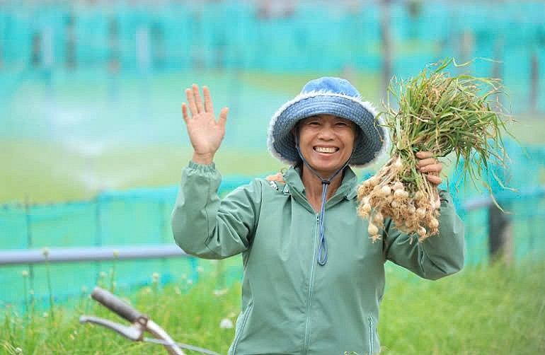 Nam Ngư chung tay quảng bá đặc sản tỏi Lý Sơn